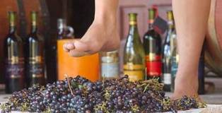 COME SI FA IL VINO? A BOSTON UNA GIORNATA CON LA “DANTE”